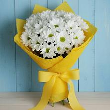 Букет цветов из:  Хризантемы в Белогорске Кемеровской области