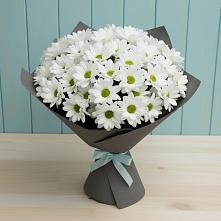 Букет цветов из:  Хризантемы #REPLACE_PRED# Белогорске Кемеровской области