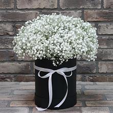 Цветочная композиция из Гипсофила в шляпной коробке в Белогорске Кемеровской области