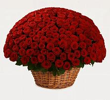 Премиум букет из: Розы в Белогорске Кемеровской области